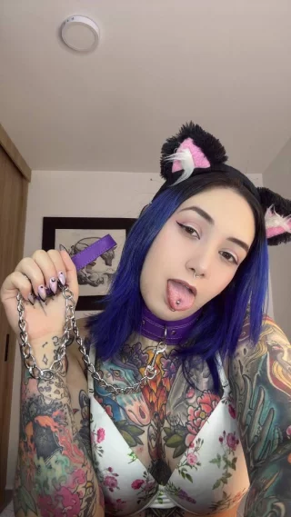 Purrfectly mischievous