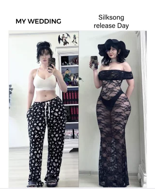 where my Hollow Knight/ Silksong enjoyers at 🗣️