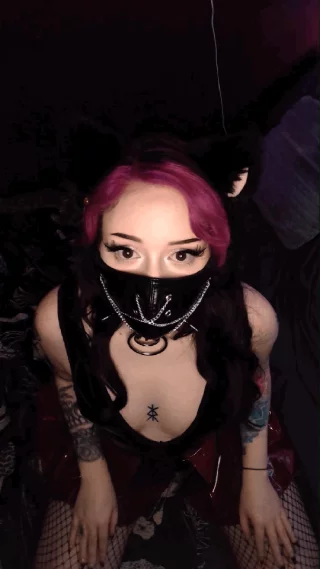 Kitty on a leash 🐱