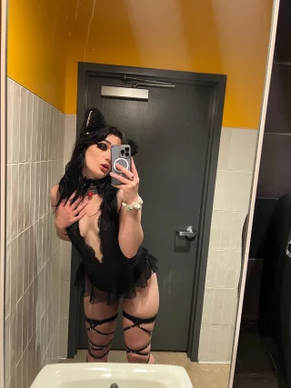 The cat. Period.