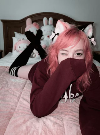 meeow ≽(•⩊ •マ≼