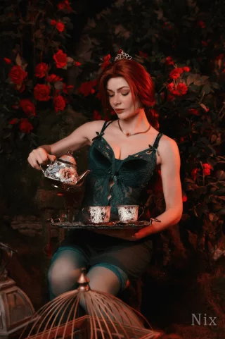 Princess Fiona cosplay by Nix