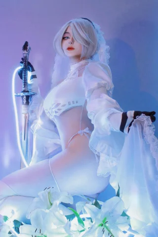 Bride 2b from Nier games by met0.tox