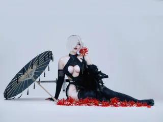 2b Shinobi from Nier automata by met0.tox
