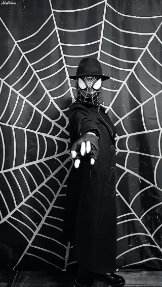 Spider-Man Noir from Marvel Comics (AlixValove)