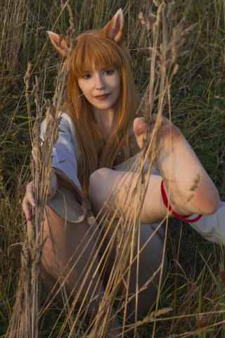 Holo [Spice and Wolf] by me (BakaFuwa)